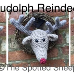 Rudolph Crochet Kit